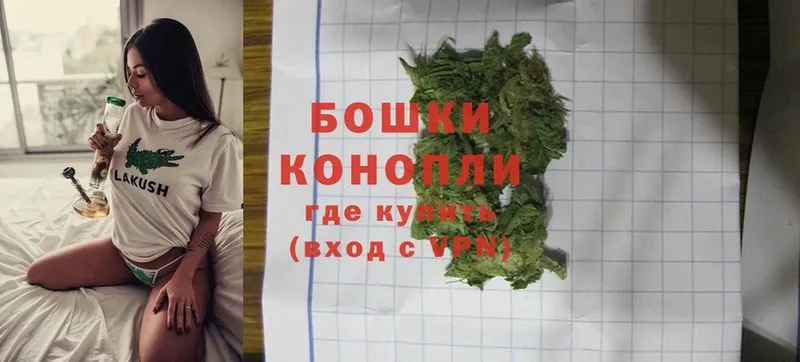 Канабис Ganja  Кущёвская 